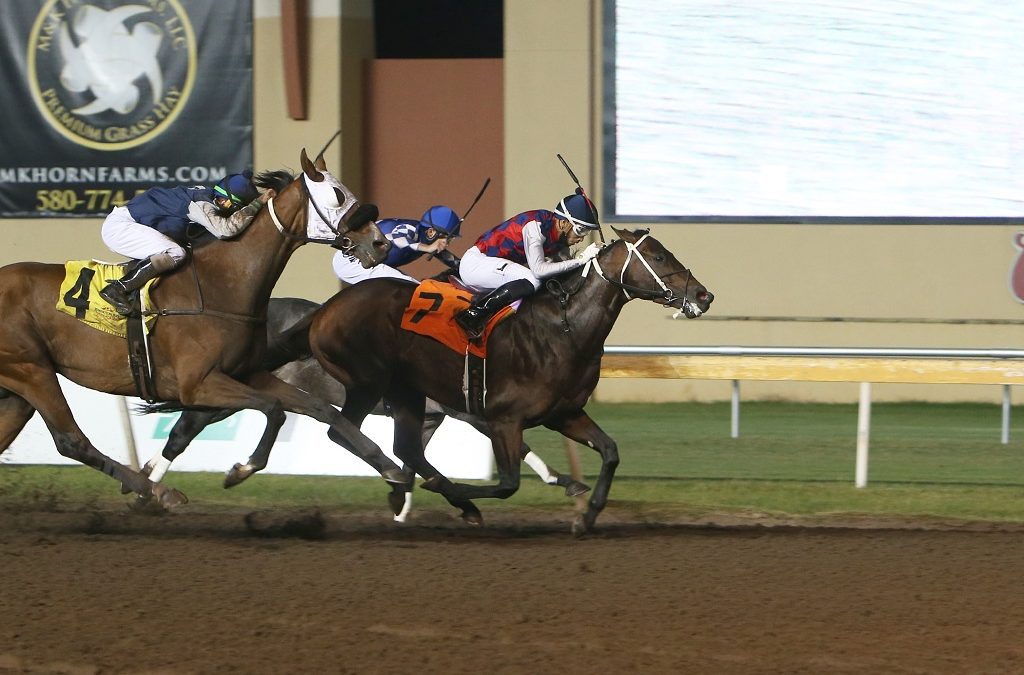 Anchor & Hope’s exciting lineup includes Gun Runner brother Fortune Ticket
