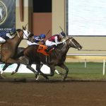 Pimlico Pick 6 solved, payout over $479k
