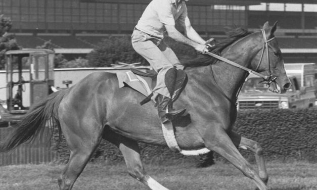 The (almost) fabulous fillies of the Preakness