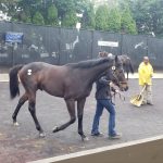 Pimlico picks and ponderings: May 26, 2022