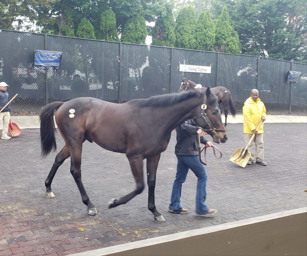 Fasig Tipton Mid Atlantic 2025 Cindy Deloria