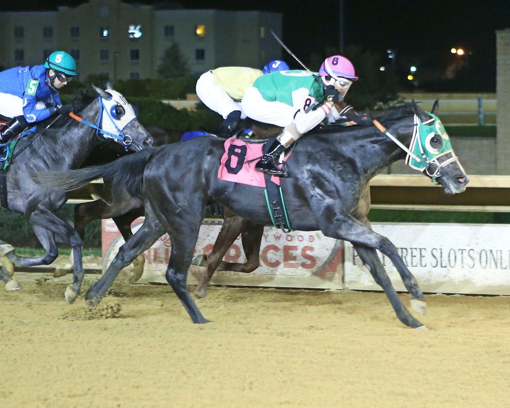 Silky Serena won the Its Binn Too Long Stakes. Photo Coady Photography.