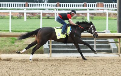 Preakness: Un Ojo’s out, who’s in