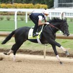 Old and new in Laurel Park winner’s circle
