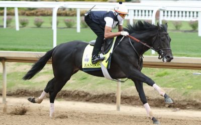 Kentucky Derby horse-by-horse analysis