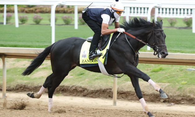 Zandon installed as Kentucky Derby favorite