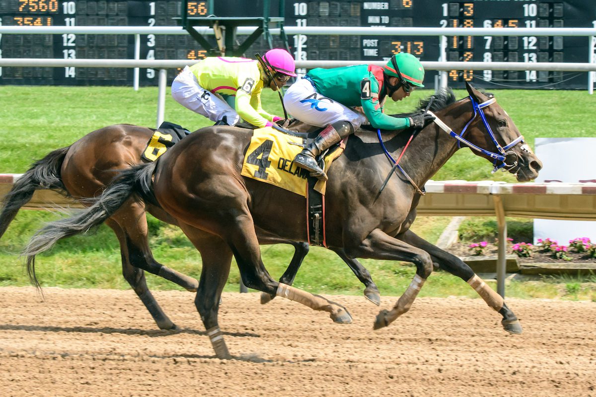 Miss Leslie won the Obeah Stakes. Photo HoofprintsInc.com.