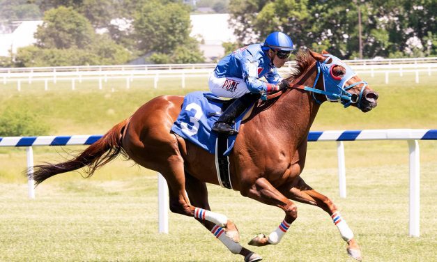 VIDEO: Two to watch at a price in Laurel Park stakes