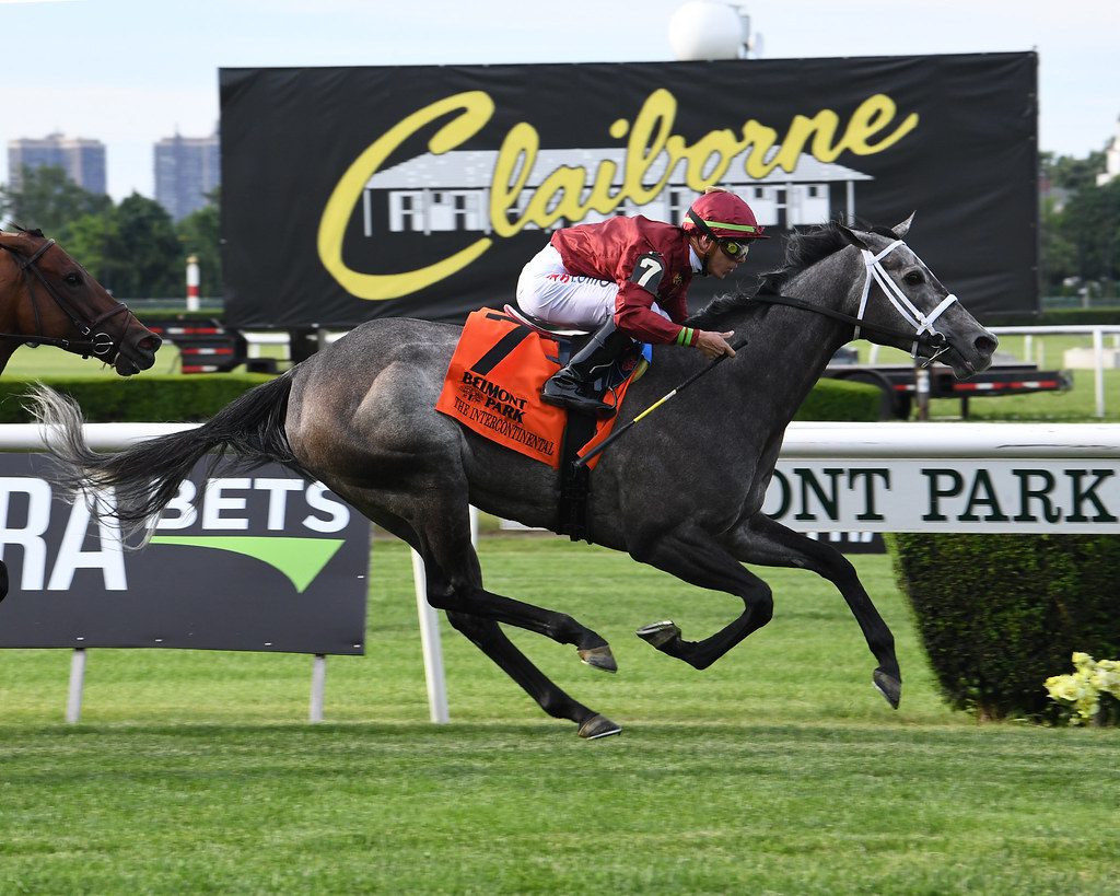 Caravel won the Grade 3 Intercontinental Stakes at Belmont Park. Photo Susie Raisher.