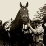 Parx picks and horses to watch: June 15