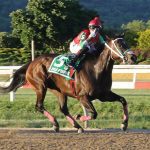 Delaware Park picks and horses to watch: October 20