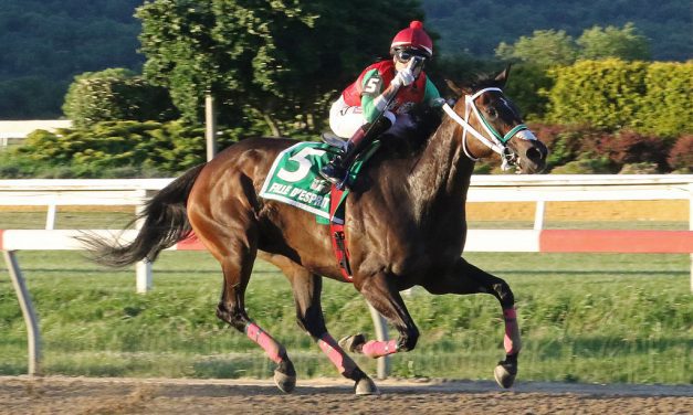MD Million: Fille d’Esprit looking for more in Distaff