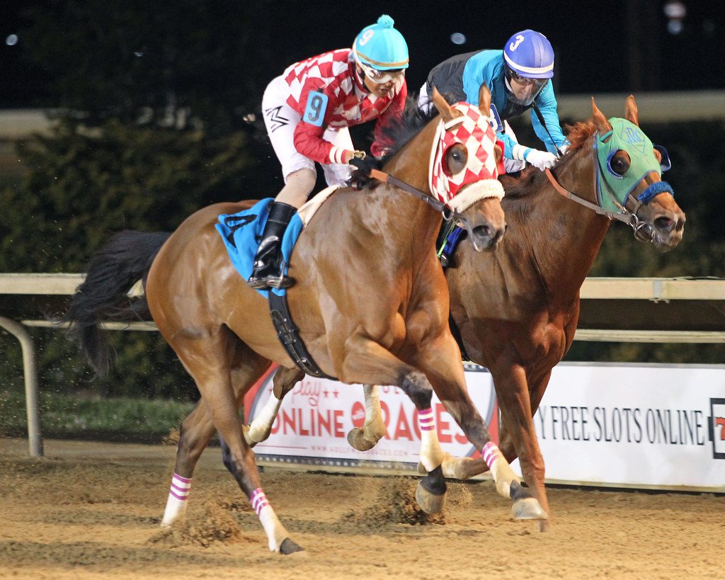 Hypothesis won his fourth straight in the It's Only Money Stakes. Photo by Coady Photography.