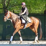 Witty cruises to Stanton Stakes win