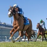 Miracle tabbed as Delaware Oaks favorite