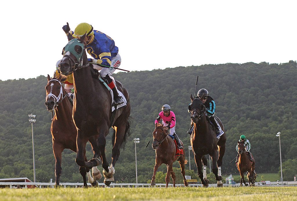 Wow Whata Summer was an 83-1 upset winner in the Penn Mile. Photo by Bill Denver/EQUI-Photo.