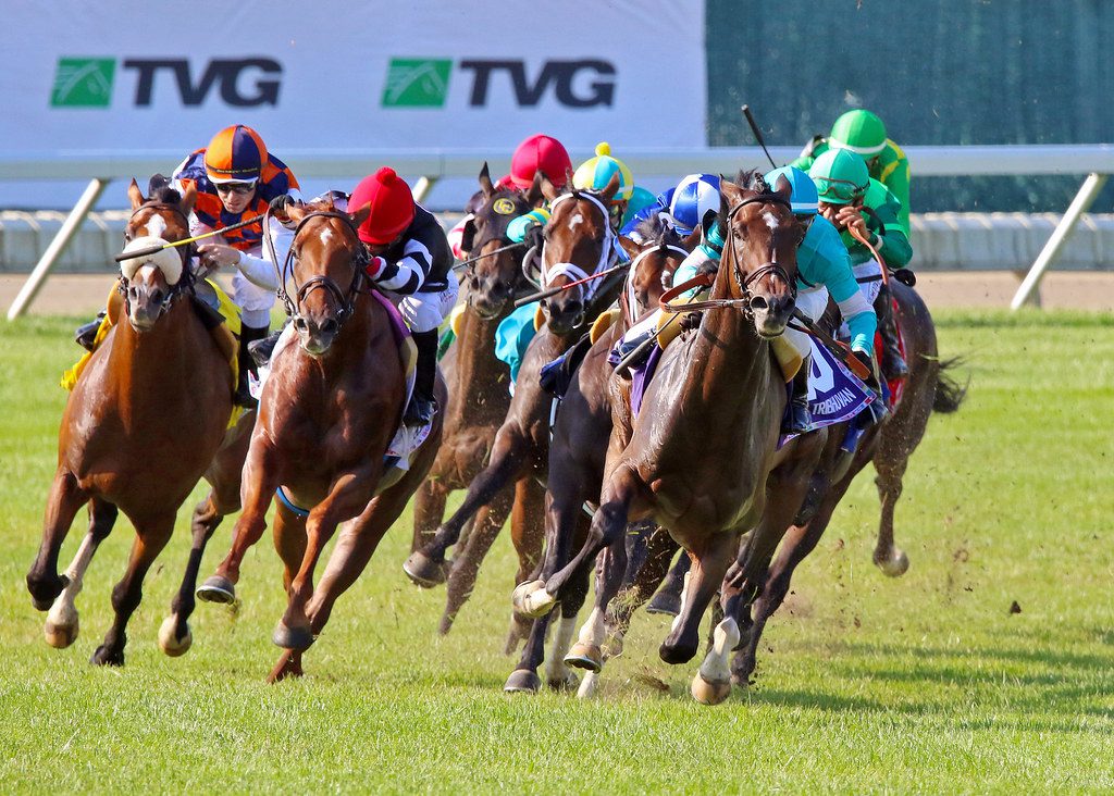 The field turns for home in the 2021 United Nations with Tribhuvan showing the way. Photo Mark Wyville/EQUI-PHOTO