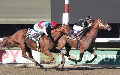 Cyberknife slices through to Haskell triumph