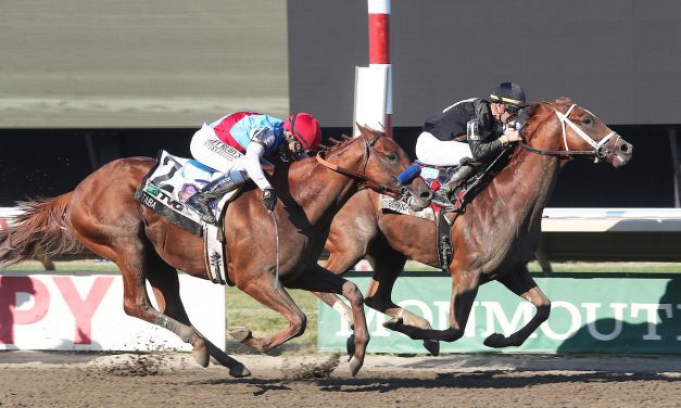 Cyberknife slices through to Haskell triumph