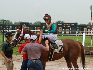 Mychel Sanchez Cinnabunny