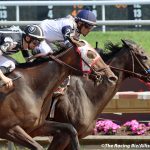 Delaware Park Handicappers’ Notebook 2022 Vol. 23