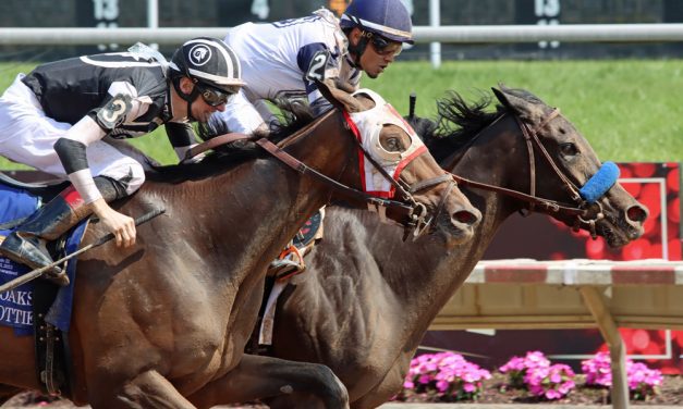 Midnight Stroll looking for more in G3 CT Oaks