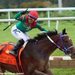 Delaware Park picks and horses to watch: September 24