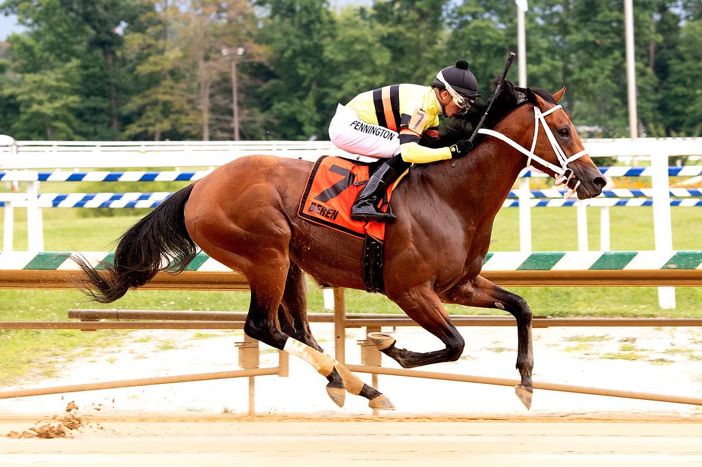 Beren was best in the Frank De Francis Memorial Dash. Photo by Jim McCue.