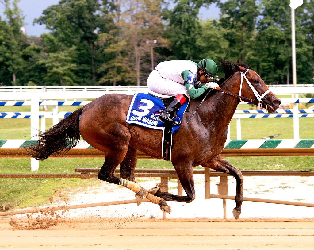 Chub Wagon won the Alma North. Photo by Jim McCue.