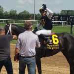 Malibu Beauty cruises in Peach Blossom