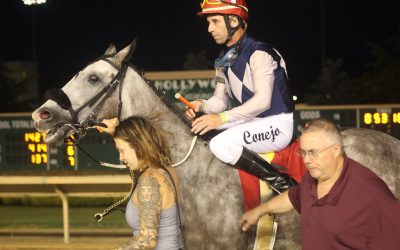 For trainer Kevin Joy, 1000 wins, one complicated journey
