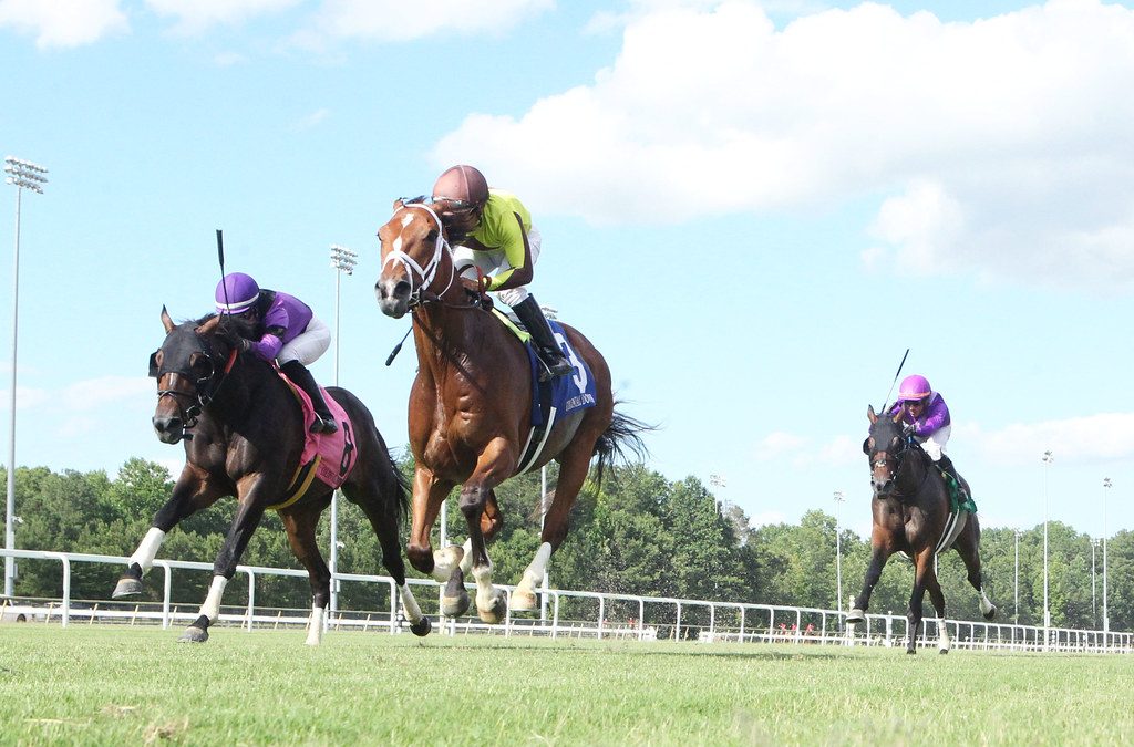 Colonial Downs: Latest jockey and trainer stats
