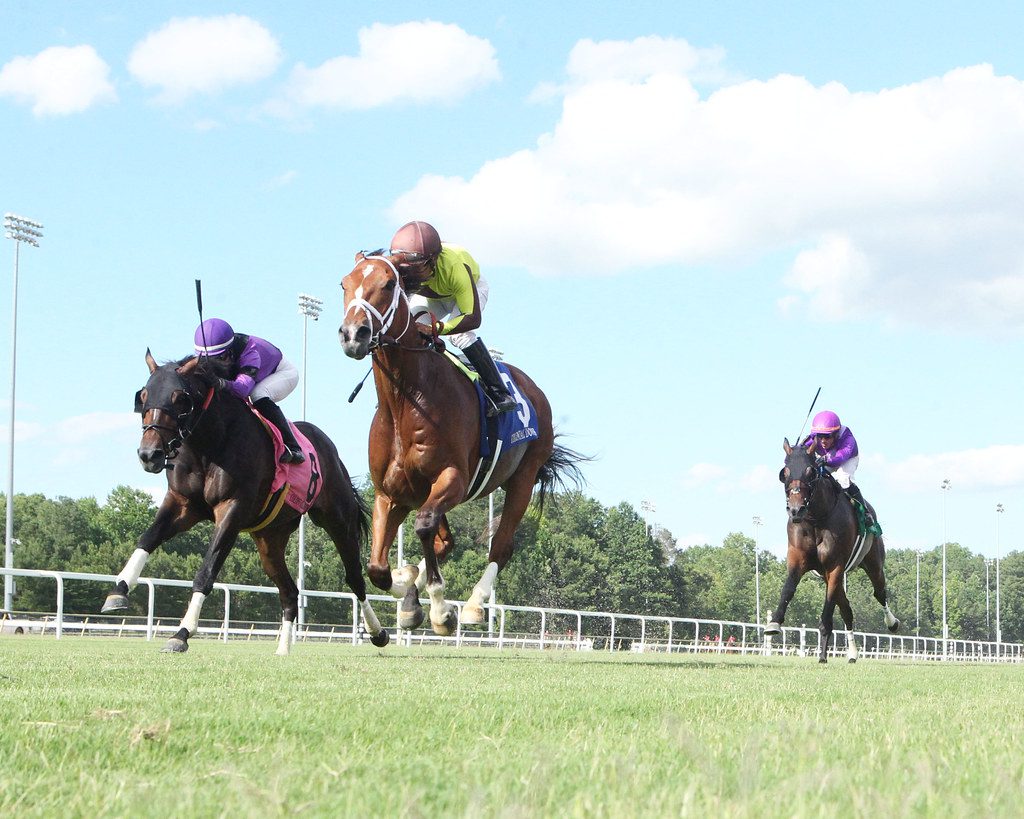 Largent won the Edward P. Evans Stakes at Colonial Downs for the second time in three years. Photo Coady Photography.