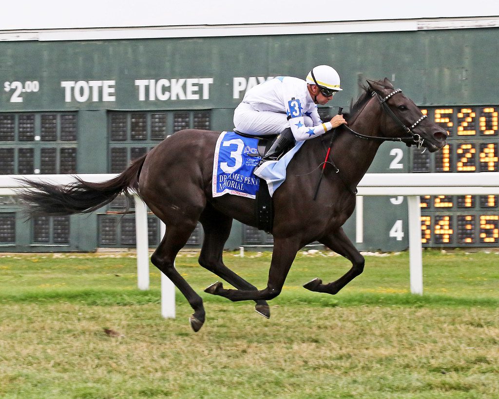 Princess Grace was much the best in defending her title in the G3 Dr. James Penny Memorial. Photo by Barbara Weidl/EQUI-PHOTO.