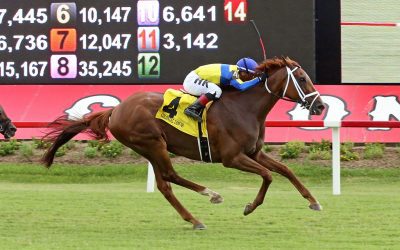 Red Knight scores in Colonial Cup