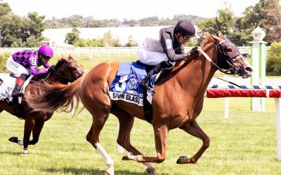 Clean trips to stakes wins for Spun Glass, Alottahope