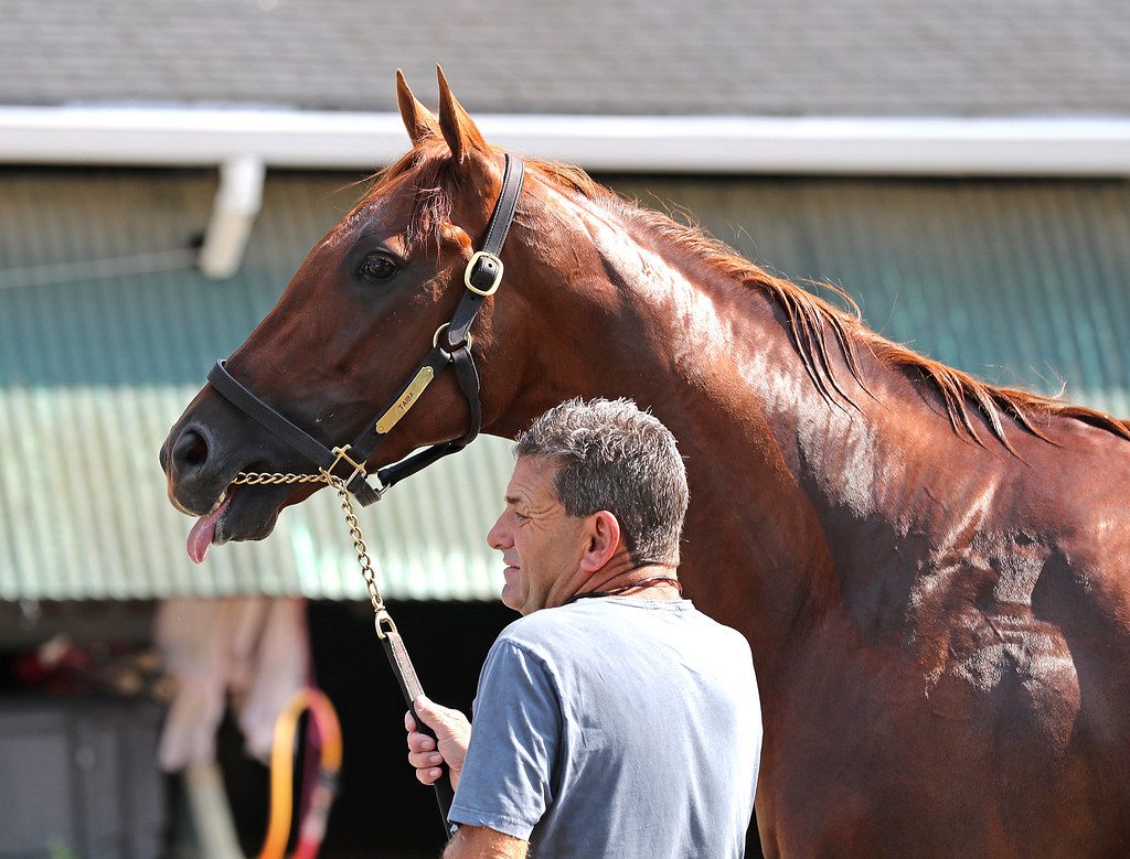 Taiba at Monmouth Park for the 2022 Haskell Stakes. Photo by Bill Denver/EQUI-Photo.