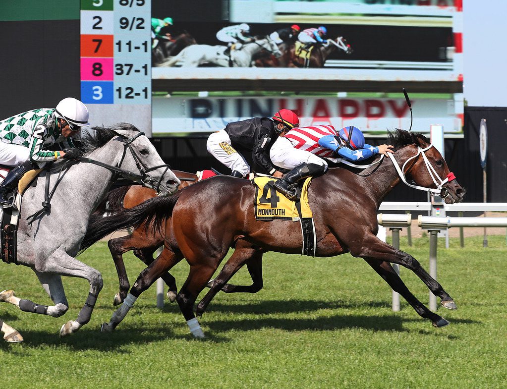 Whimsical Muse, winner of the Miss Liberty Stakes, is 8-1 for the G3 Dick Memorial. Photo By Bill Denver/EQUI-PHOTO 