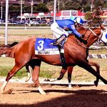 Spa selections 2022: Saratoga picks August 28