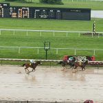 Delaware Park