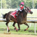 VIDEO: Previewing Laurel Park Christmastide stakes