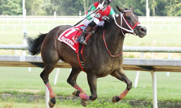 Fille d’Esprit hunting sixth stakes win in Willa On the Move