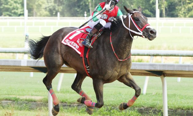 VIDEO: Previewing Laurel Park Christmastide stakes