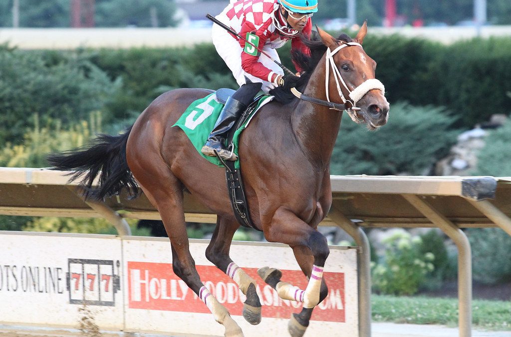 Great Spirit hoping to follow in big bro’s footsteps
