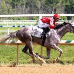 Music Amore plays winning tune in Searching Stakes