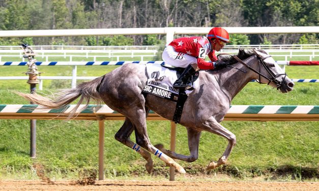 Music Amore plays winning tune in Searching Stakes