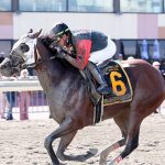 Parx picks and horses to watch: August 23