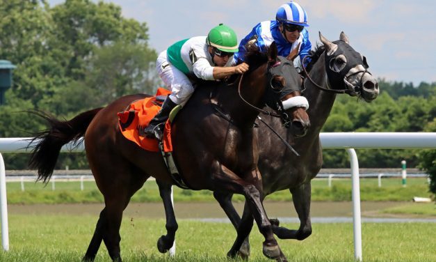 Miss Riddler hopes to solve Christiana Stakes