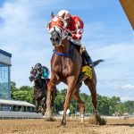 Md Million: Trainer Hamilton Smith readies for “big day”