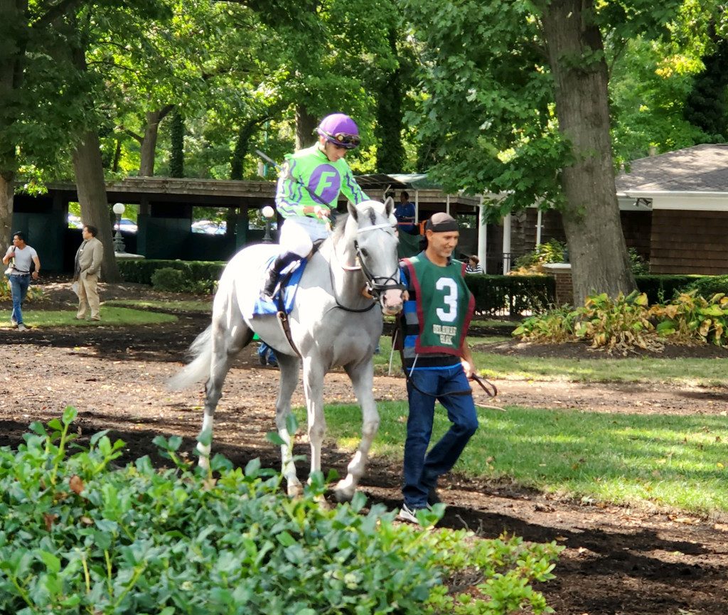 Next prior to his easy win in the Cape Henlopen Stakes. Photo by Mike Valiante.